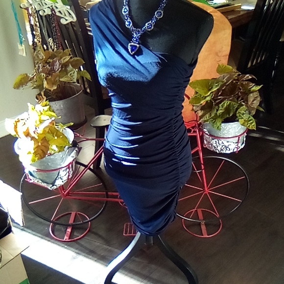 Fancy dress - Picture 2 of 8